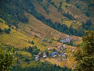 Ghorepani- Poonhill Trek